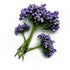 Purple Artificial Pollen Flower Set Of 4 Bunch